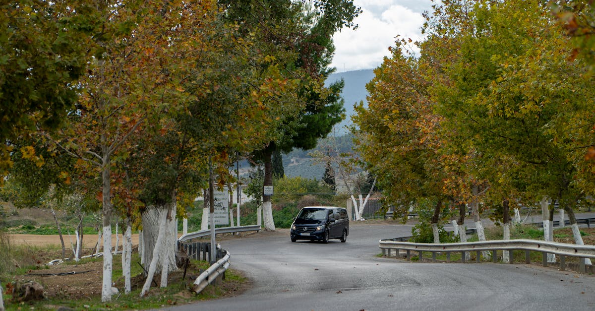 transfert d'immatriculation de véhicule : procédure, documents requis et démarches à suivre pour effectuer le transfert d'une voiture en france.