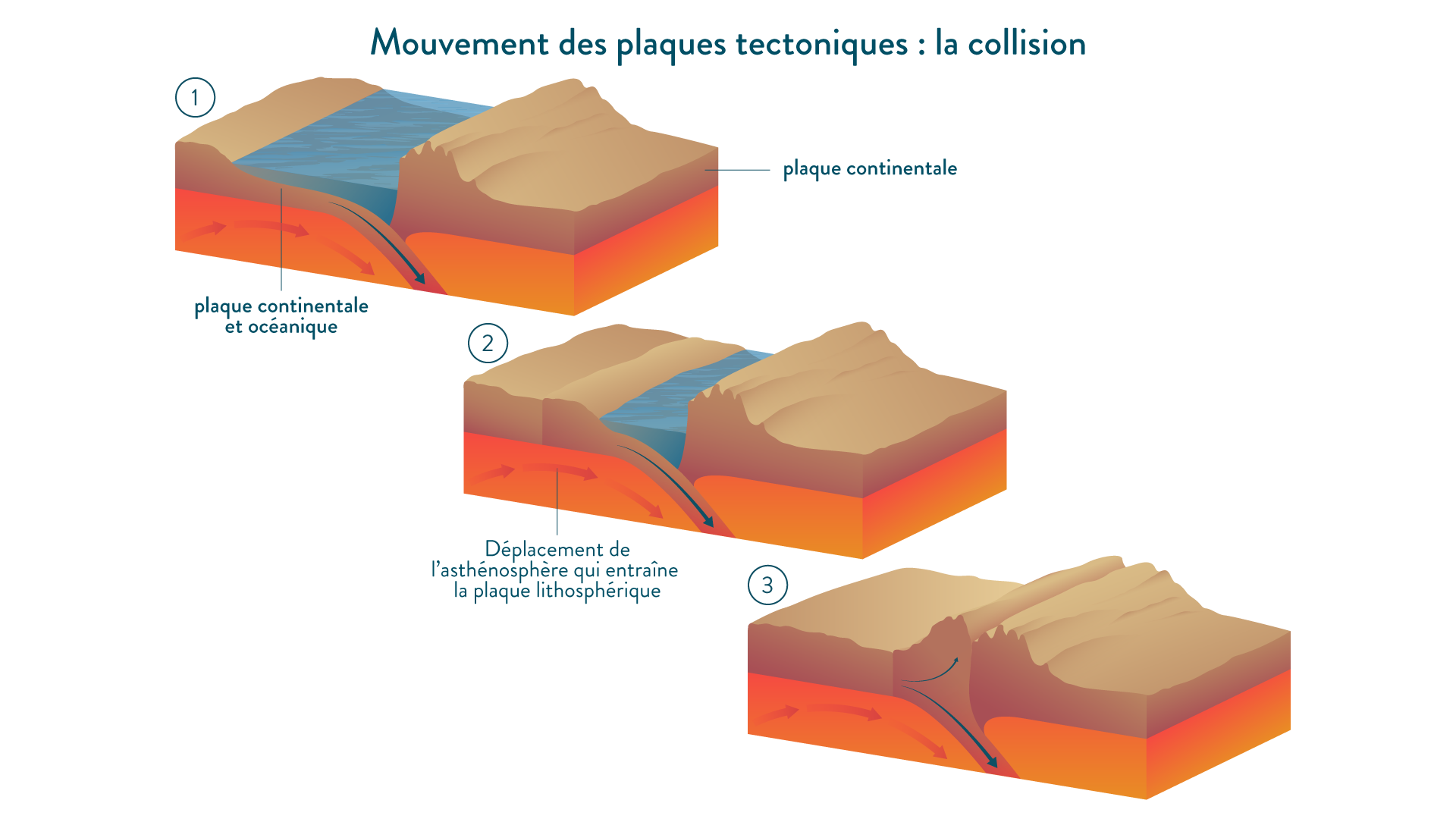 découvrez notre sélection de plaques rapides, idéales pour optimiser vos travaux de maçonnerie. performantes et faciles à utiliser, elles garantissent un résultat de qualité professionnelle. parfaites pour les projets de rénovation ou de construction, ces plaques répondent à tous vos besoins en matière de durabilité et de rapidité.