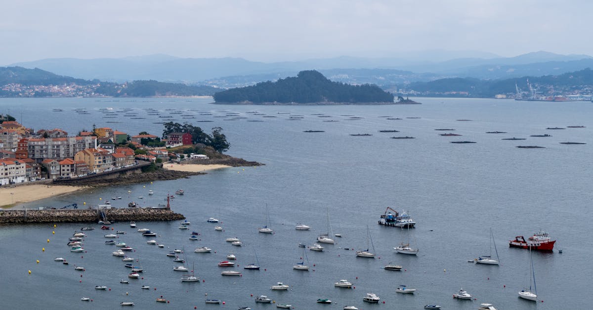 découvrez la seine-maritime, une région riche en paysages diversifiés entre mer et campagne, alliant patrimoine historique, gastronomie locale et activités de plein air, idéale pour vos prochaines escapades.