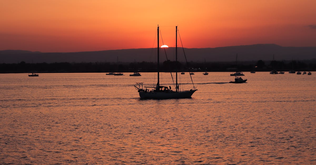 découvrez la seine-maritime, un département riche en histoire et en paysages remarquables, entre falaises spectaculaires et charmants villages normands. explorez ses sites emblématiques, savourez sa gastronomie locale et plongez dans la culture maritime de la région.