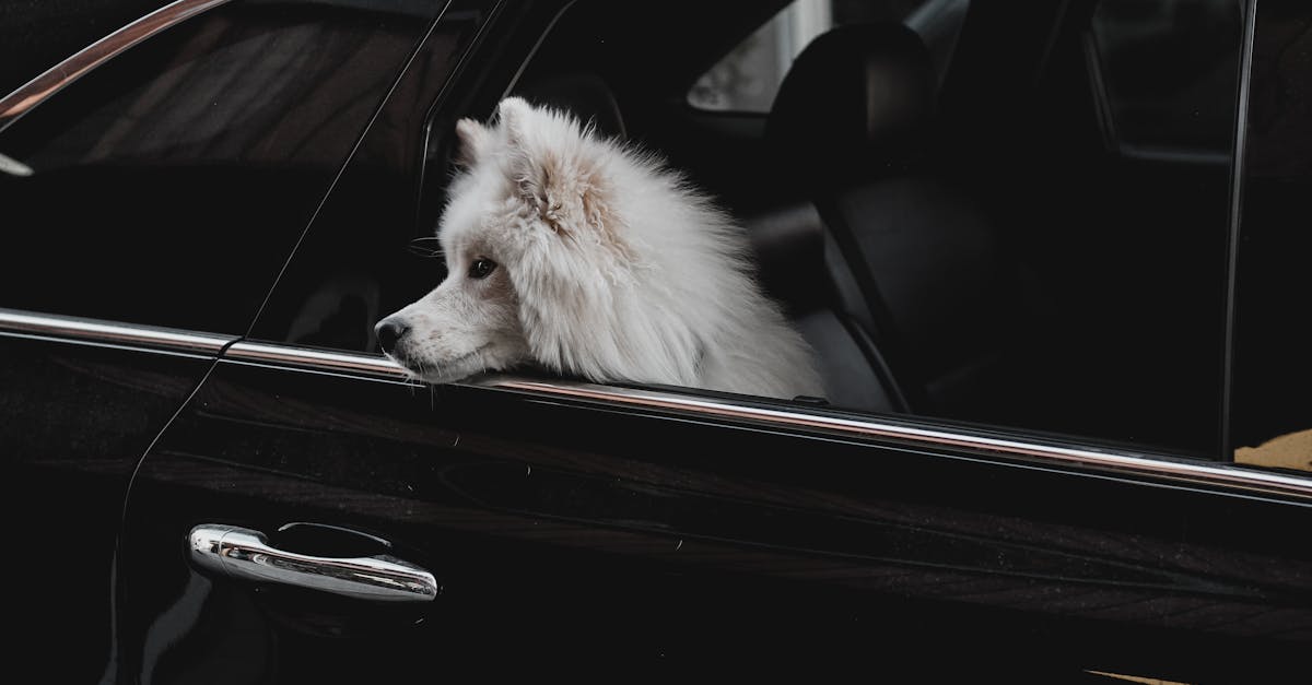 découvrez tout sur l'enregistrement des véhicules : démarches, exigences et conseils pratiques pour immatriculer votre voiture en toute simplicité.