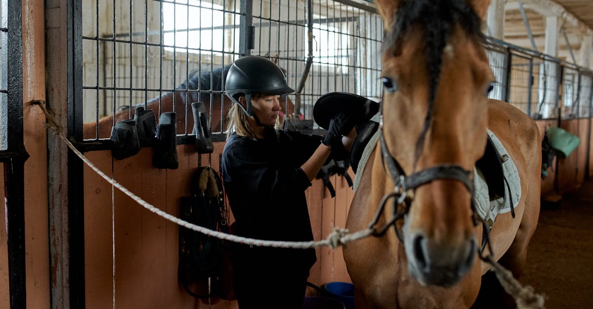 découvrez des conseils essentiels sur la sécurité des chevaux, incluant des pratiques de gestion, des équipements de protection et des comportements sûrs. assurez le bien-être de votre équidé et minimisez les risques d'accidents grâce à des recommandations éprouvées.