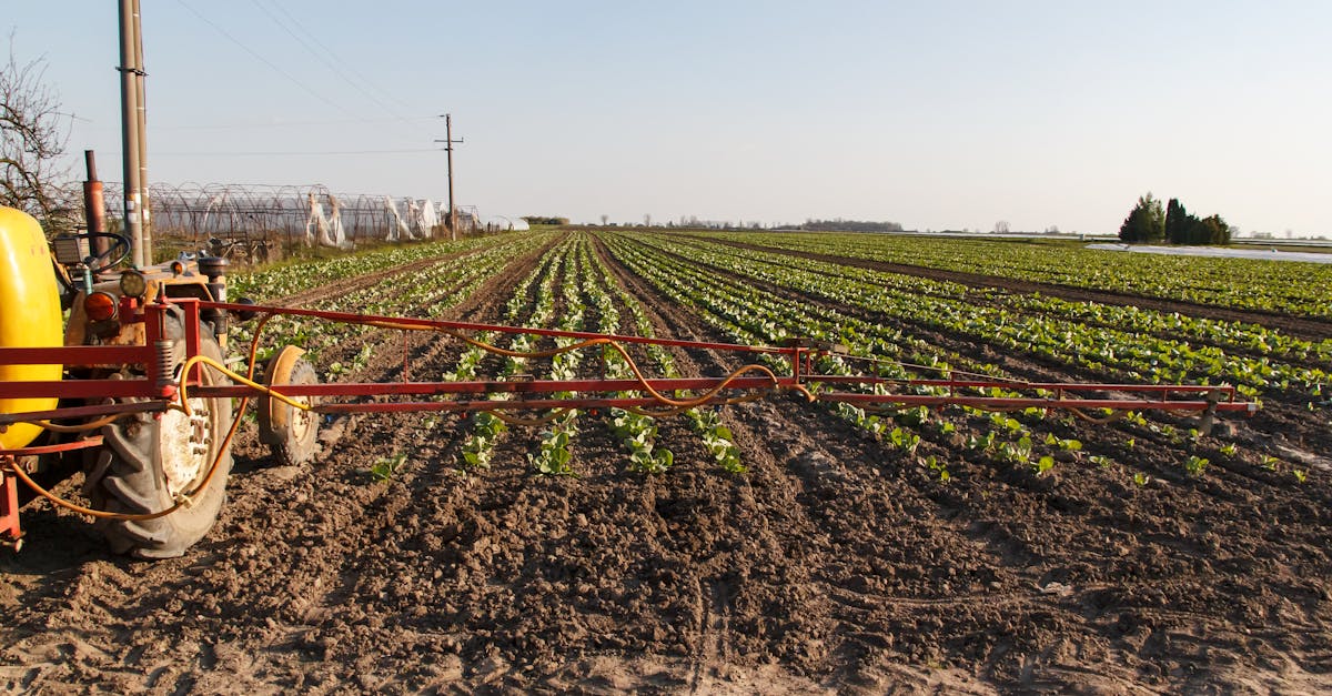 découvrez notre vaste sélection de tracteurs adaptés à tous vos besoins agricoles. performance, durabilité et technologie de pointe réunies pour optimiser votre travail sur le terrain.