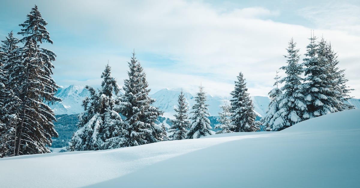 découvrez la région auvergne-rhône-alpes, un joyau du patrimoine naturel et culturel français, offrant des paysages époustouflants, des montagnes majestueuses et une riche gastronomie. parfait pour les amoureux de la nature et les aventuriers !