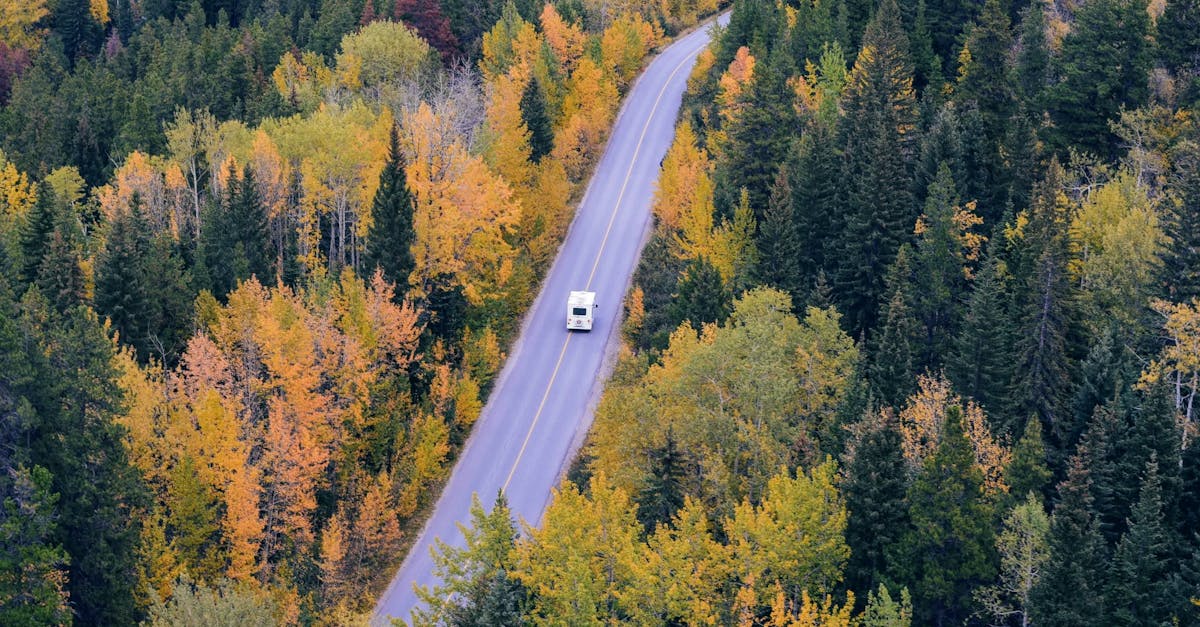 découvrez le plaisir de voyager avec un motorhome ! explorez des destinations variées en toute liberté et confort. idéal pour les aventuriers et les familles, le motorhome vous permet de profiter de la nature tout en ayant le confort de votre maison sur roues.