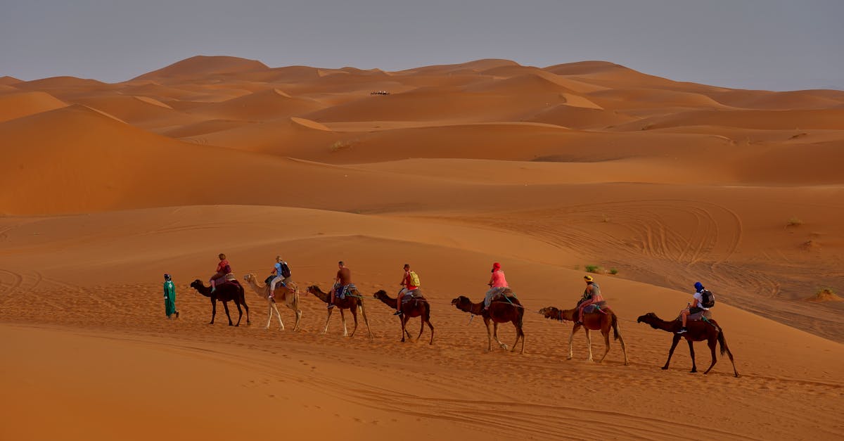 découvrez l'univers des caravanes : des modèles adaptés à toutes vos aventures, un espace confortable pour voyager en toute liberté, et des conseils pratiques pour choisir la caravane parfaite pour vos escapades.