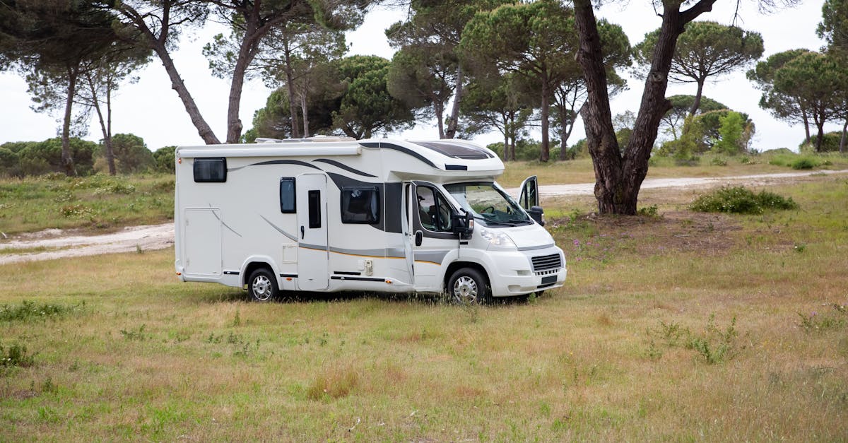 découvrez les meilleurs concessionnaires de camping-cars pour trouver le véhicule récréatif de vos rêves. profitez d'un large choix de modèles, d'excellents conseils et d'un service après-vente de qualité. faites de chaque voyage une aventure inoubliable avec nos partenaires de confiance!