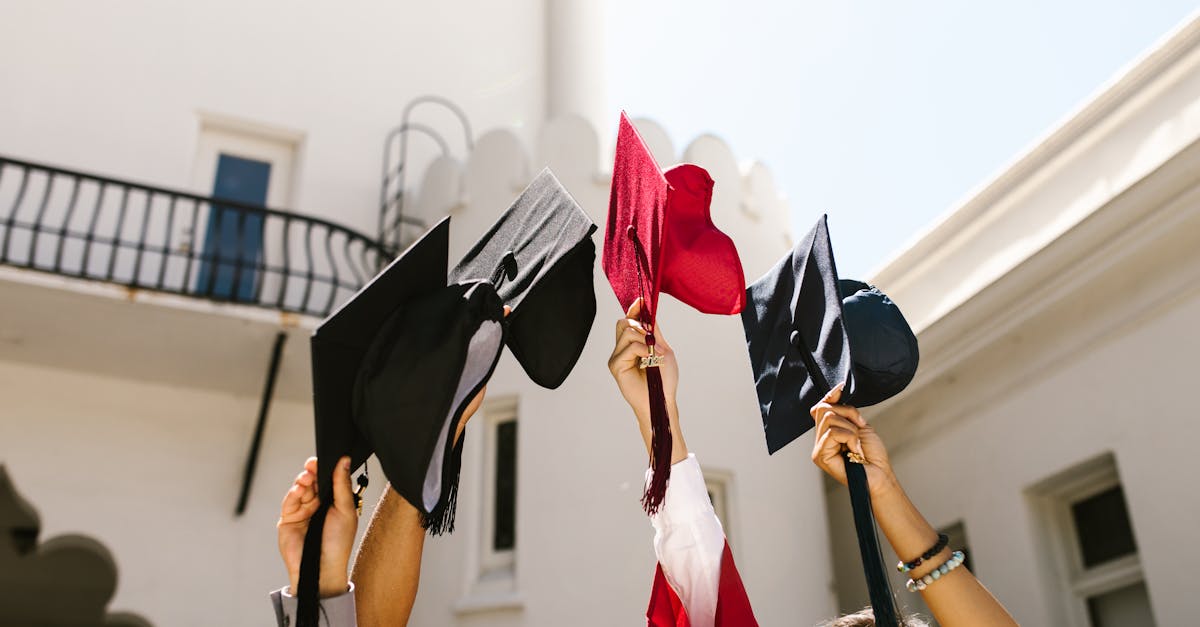 découvrez tout ce que vous devez savoir sur les certificats : types, utilités et procédures d'obtention. informez-vous pour valoriser votre parcours académique et professionnel.