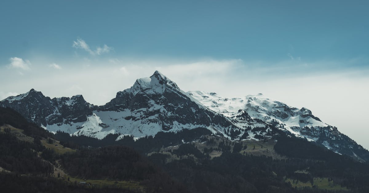 découvrez le kbis, le document officiel attestant l'existence juridique d'une entreprise en france. apprenez-en plus sur son importance, son obtention et son impact sur le fonctionnement des sociétés.