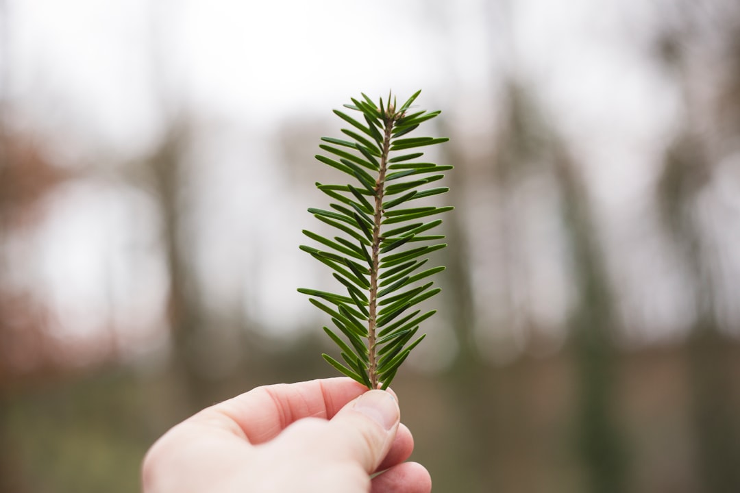 découvrez les implications de la pénalité écologique, un concept clé en matière de durabilité et de responsabilité environnementale. apprenez comment cette mesure incite les entreprises et les individus à adopter des pratiques plus respectueuses de l'environnement, tout en contribuant à la protection de notre planète.